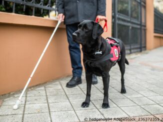 Helfer auf vier Pfoten - Blindenhunde