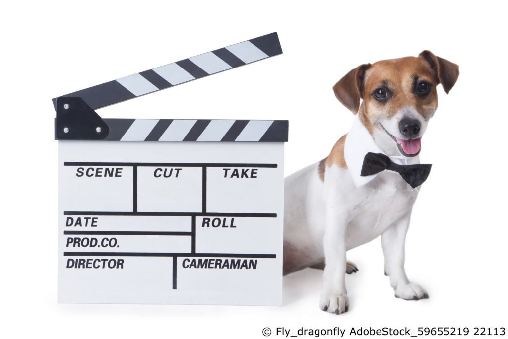 Filmhund 